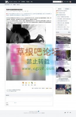 扁平大气企业站风格 商业版GBK-3.jpg