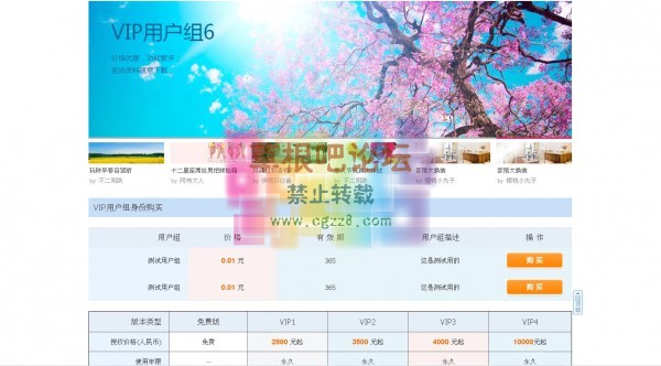 超级VIP用户组购买 多接口VIP用户组购买-2.jpg