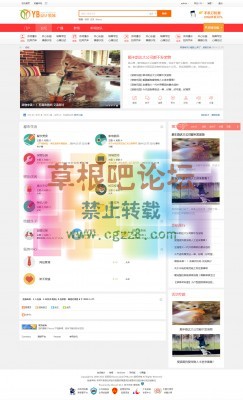 艺佰地方门户1 gbk4.0-2.jpg