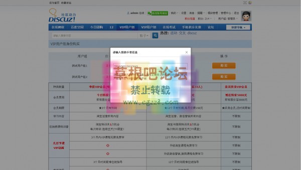 卡密VIP用户组购买 打包版-4.jpg