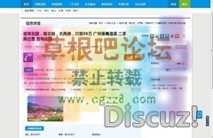 最新蓝色大气地方门户分类信息程序-1.jpg
