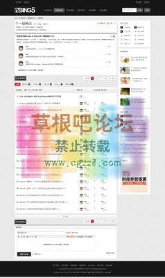 NVBING5-轻门户！ 商业版1.1-GBK-3.jpg