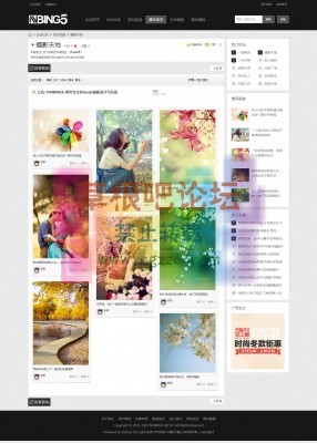 NVBING5-轻门户！ 商业版1.1-GBK-5.jpg