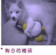 QQ图片20150907120342.gif