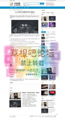 vshare资源分享模板 GBK商业版-3.jpg