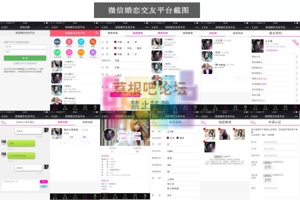 微信婚恋交友平台 4.0-1.jpg