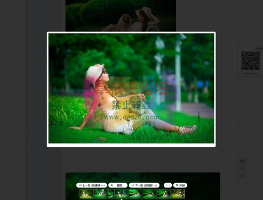 帖内图片播放器 看图版-3.jpg