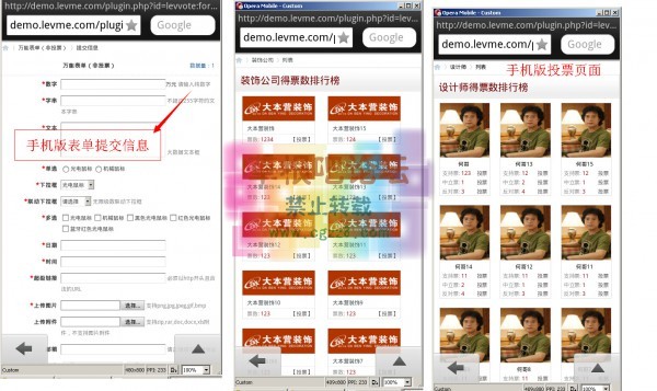 自定义表单投票系统 万能投票-2.jpg