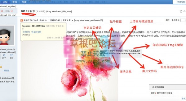 搜索引擎友好的图片 标准版4.0.3-1.jpg