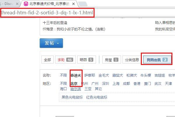 破解SEO分类信息伪静态 V1.3.2