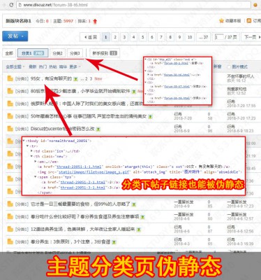 开源SEO主题分类伪静态 统一帖子链接